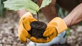Need a new activity for you and your kids? Try gardening