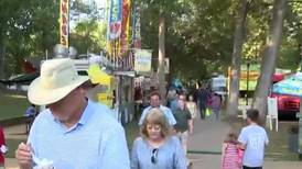 Festival in the Park returns to Freedom Park this weekend
