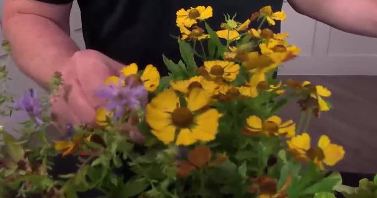 UNCC’s fall plant sale begins Oct. 5 QC Life