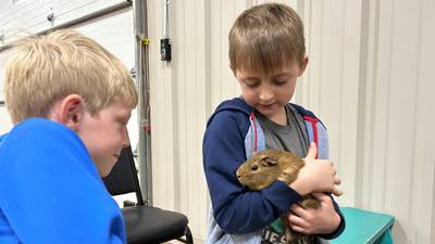 Rescue Ranch preparing to host Winter Break Critter Camp for students