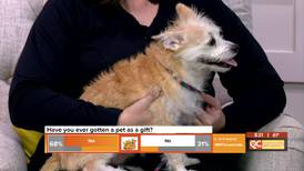CMPD’s Animal Care and Control needs help clearing the shelter