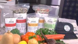 Change your pet’s diet for the better