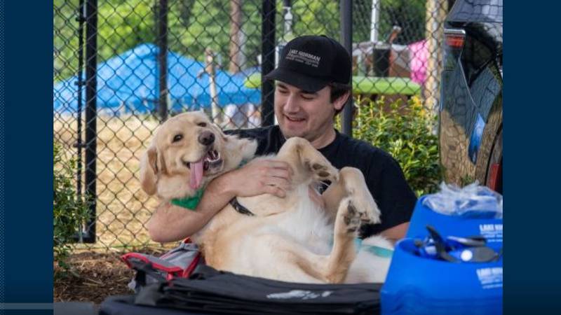 Pet Palooza Fundraising Walk and Community Festival happening this Saturday