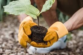 Need a new activity for you and your kids? Try gardening
