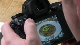 Making food look picture perfect