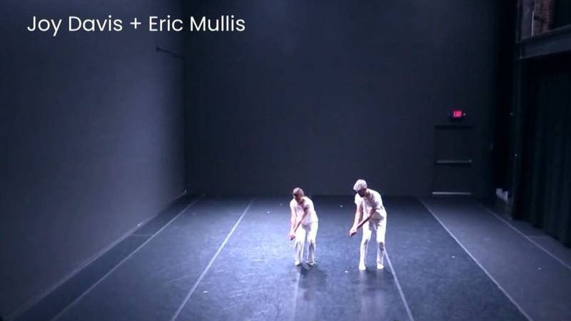 Carolina natives show off their moves at the NC Dance Festival