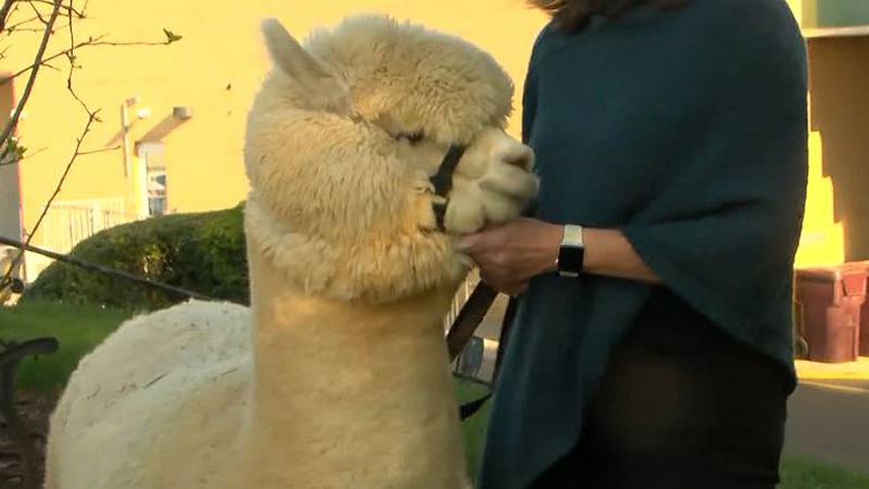 Good Karma Ranch gets ready for spring with fun events