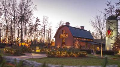 Looking at this year’s Billy Graham Christmas celebrations
