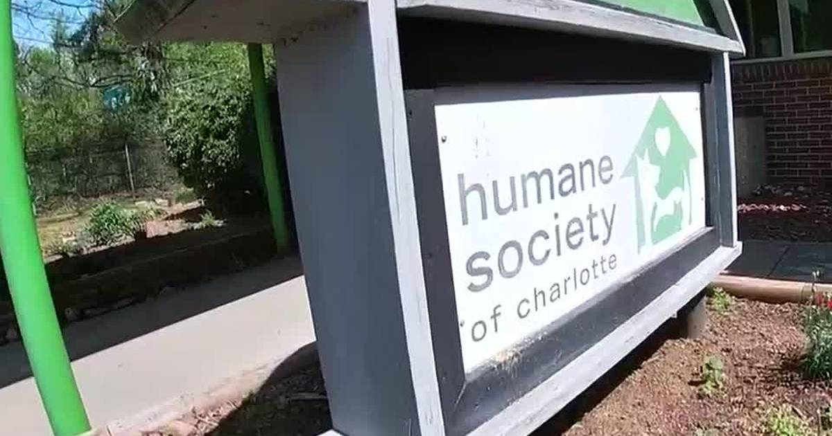 Incorporating art at the Humane Society of Charlotte QC Life
