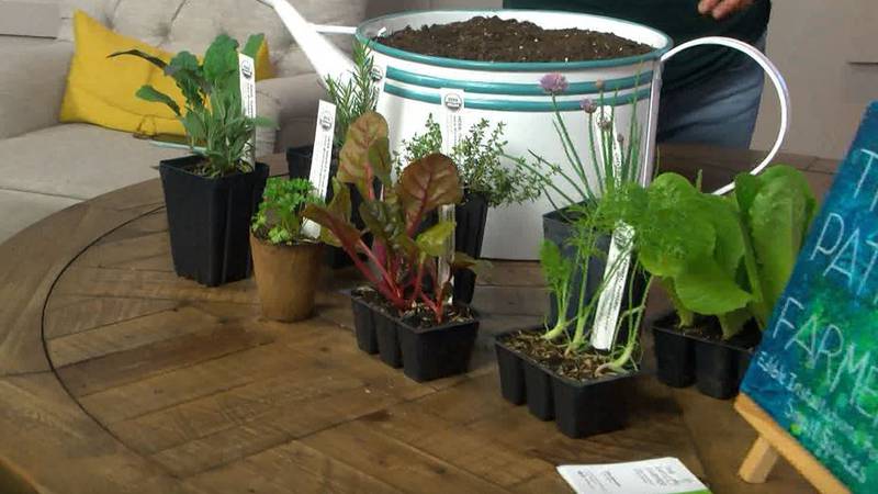‘The Patio Farmer’ talks plants that can survive chilly nights