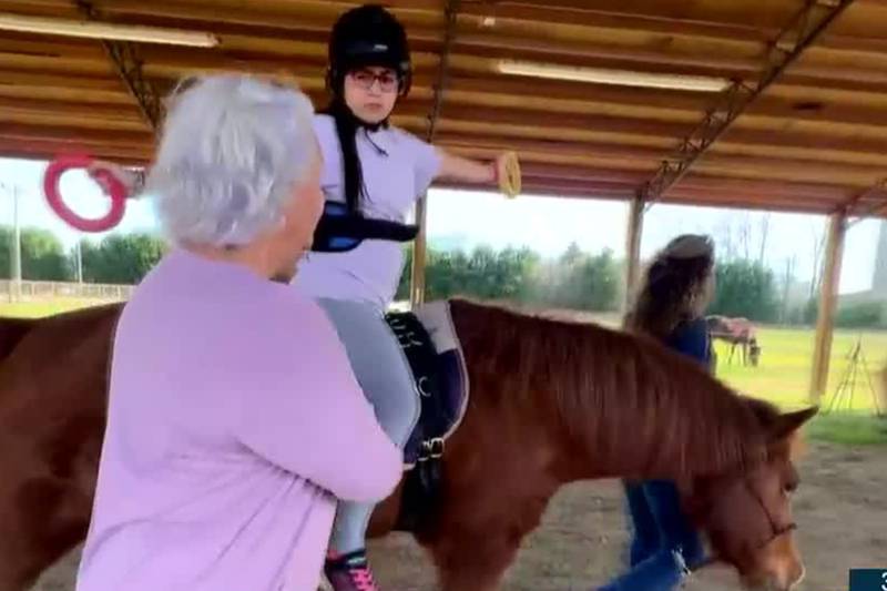 Creating special bonds and healing with horses